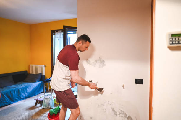 Best Crawl Space Mold Removal  in Franklin Grove, IL